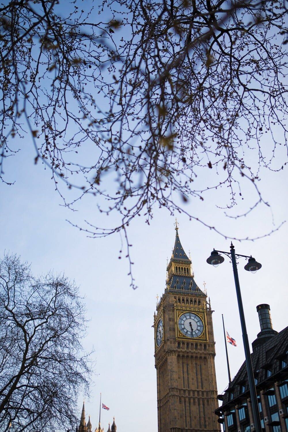Big Ben zwischen kahlen Ästen vor blauem Himmel, London